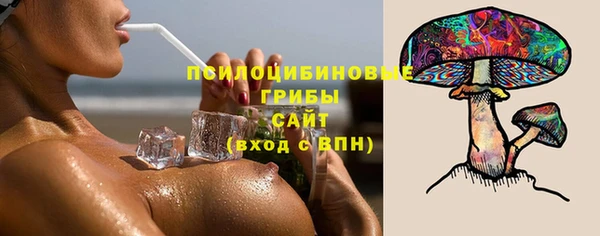 прущие крисы Переславль-Залесский
