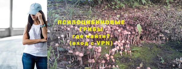 прущие грибы Снежинск