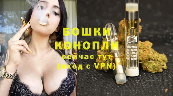 соль ск Пересвет