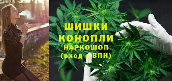 соль ск Пересвет