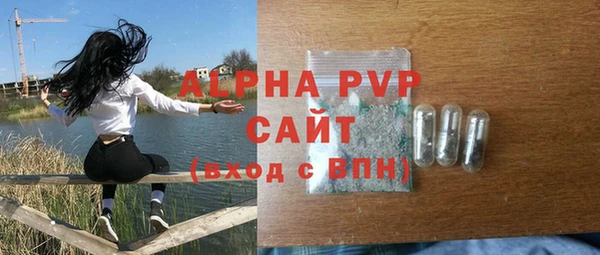 соль ск Пересвет