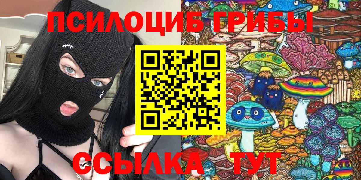 Псилоцибиновые грибы Psilocybine cubensis  Псилоцибиновые грибы Psilocybine cubensis  Балашиха  Вход с VPN 