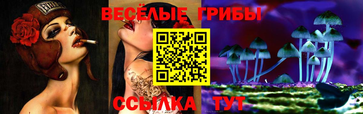 Псилоцибиновые грибы мицелий Балашиха